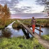 Het Koningspad XL: een prachtige wandeling van formaat | Noorderland