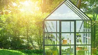 green house in the home garden, planting cactus nursery.