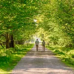 Senior couple in nature