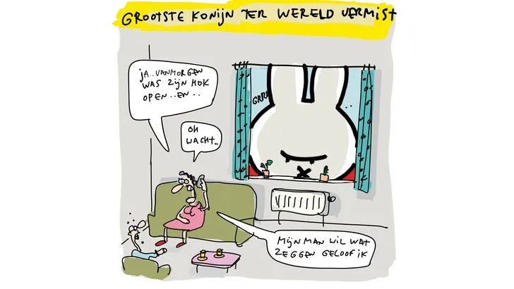 Cartoon Hein de Kort