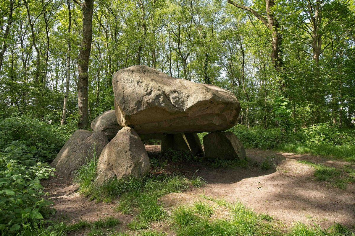 Het Noordlaarderbos in Groningen: waarom elke wandeling hier een reis door de tijd is