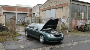 Man koopt de goedkoopste Bentley van Europa voor 11.000 euro en vindt een nachtmerrie van schimmel en rot