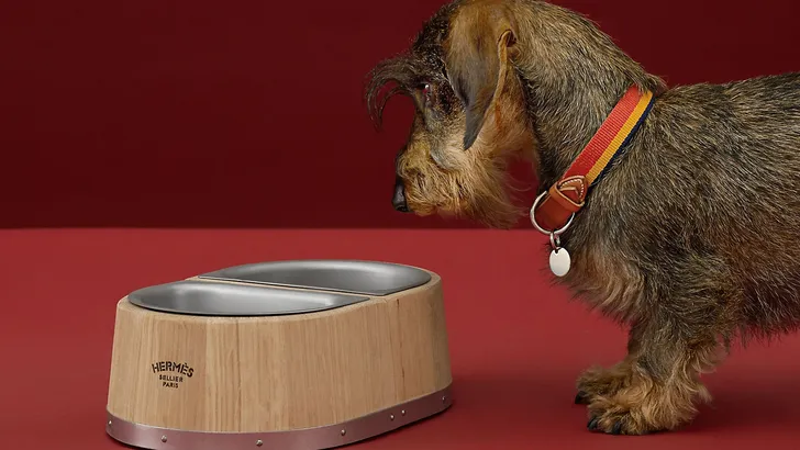 Er zijn nu hondenbakjes van Hermès