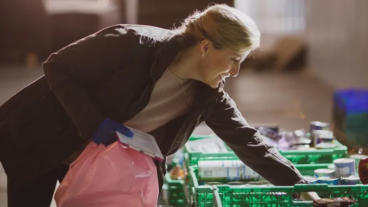 Gravin Sophie: vrijwilliger in het geheim 