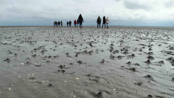 wadlopen