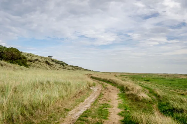 De Boschplaat op Terschelling