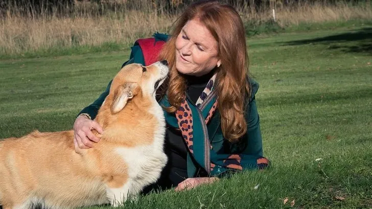 Hertogin Sarah viert verjaardag, trakteert op kiekjes van de corgi's 