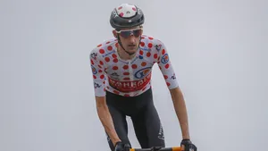 Poels