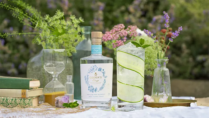 Dé uitvinding van deze zomer: alcoholvrije gin!
