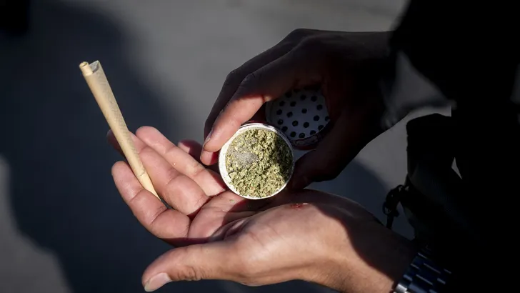 Cannabis