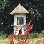 Wandelen met Claudia: Pieterpad Laren-Vorden