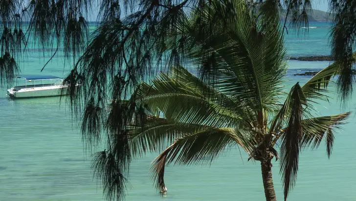 Hiervoor moet je dit jaar naar Mauritius