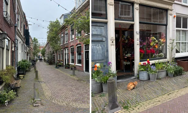 Collage van twee zijstraatjes centrum Haarlem.