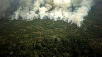 Bosbrand Amazone