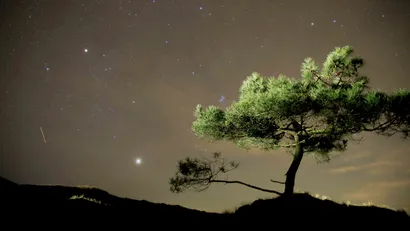 Sterrenhemel Terschelling