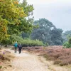 Dit zijn de mooiste lange wandelroutes van het jaar | Noorderland