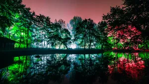 5 lichtfestivals om een avondwandeling aan te wagen