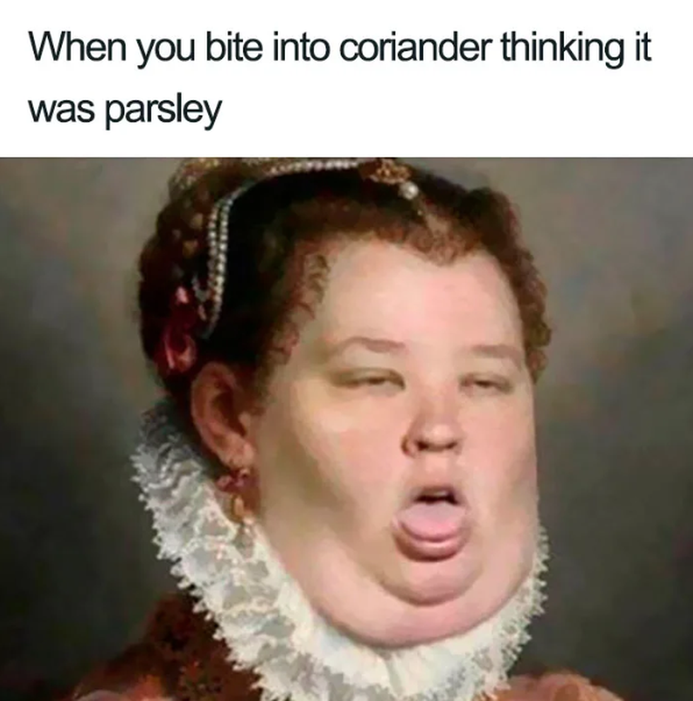 tWhGpSLBrlfZJw1579614727.png