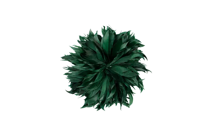 De fameuze 'pluim' broche