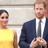 'Prins Harry en hertogin Meghan moeten hun koninklijke titels inleveren'