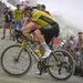 wout van aert