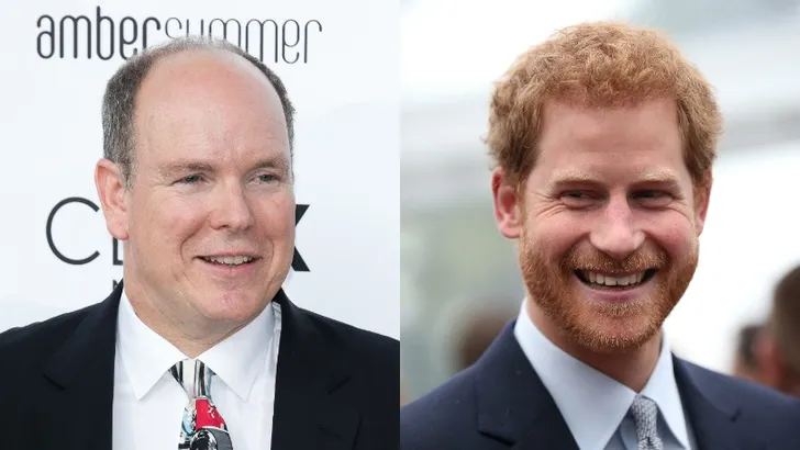 Alberts advies voor prins Harry