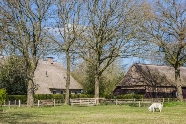 Oude boerderijen in Orvelte
