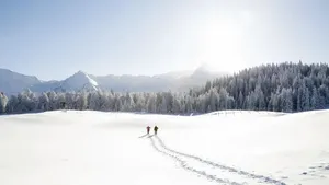 Winterwandelen