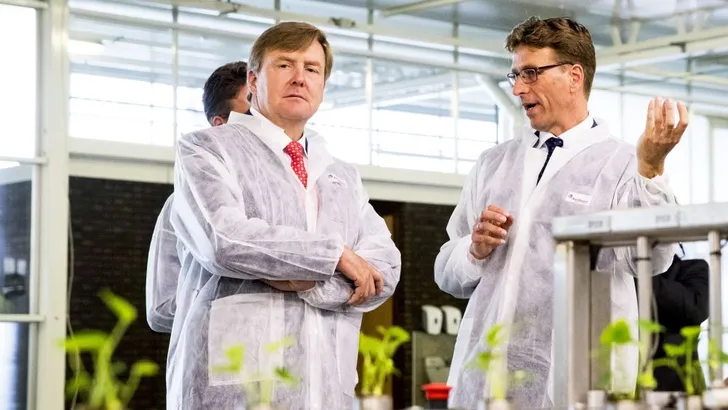 Dít is de favoriete houding van de koning