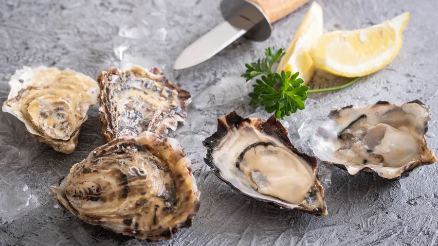 Oesters