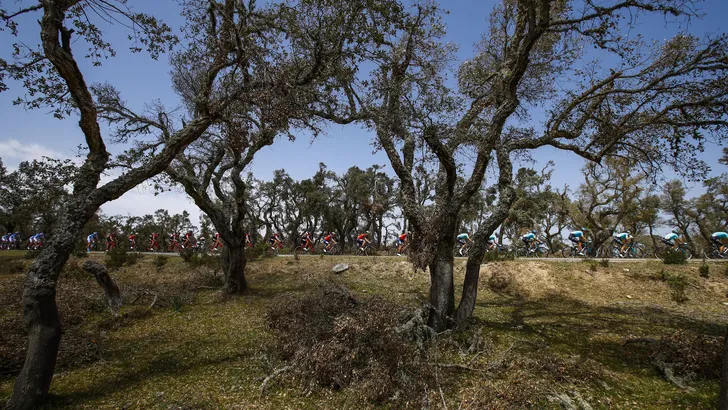 Giro d'Italia: De mooiste kiekjes van etappe 2