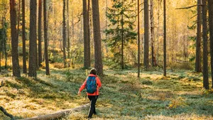 Wandelen in je eentje? Het is een openbaring