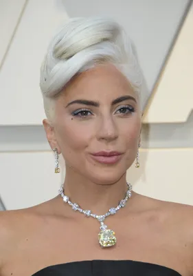 Lady Gaga, Oscars 2019