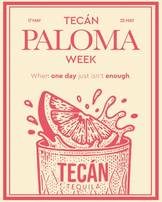 Amsterdam viert de Paloma met Tecán Paloma Week.