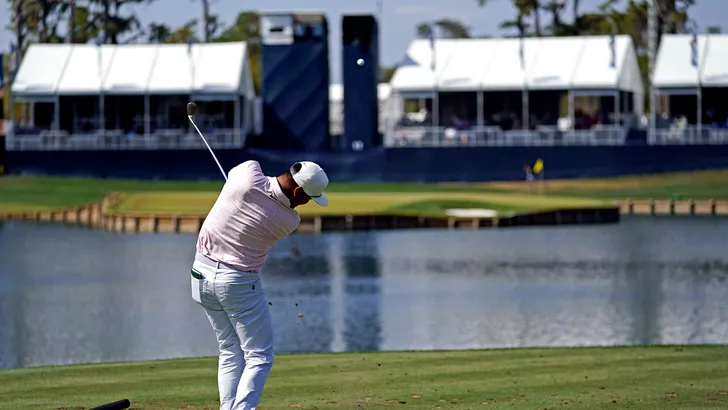 Sawgrass
