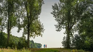 'Wandelen is de beste booster die er is'