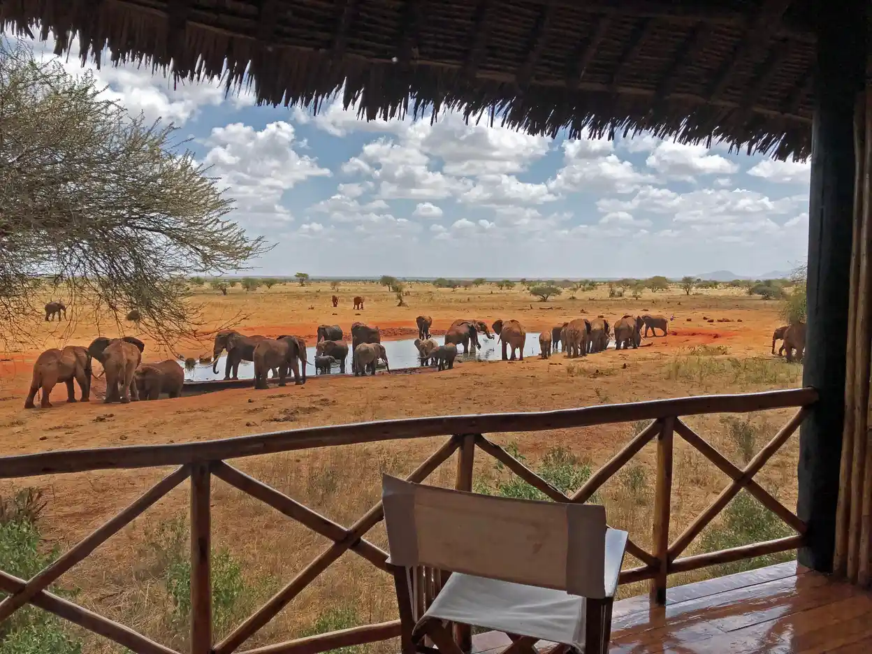 Safari lodge