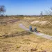 Drenthe