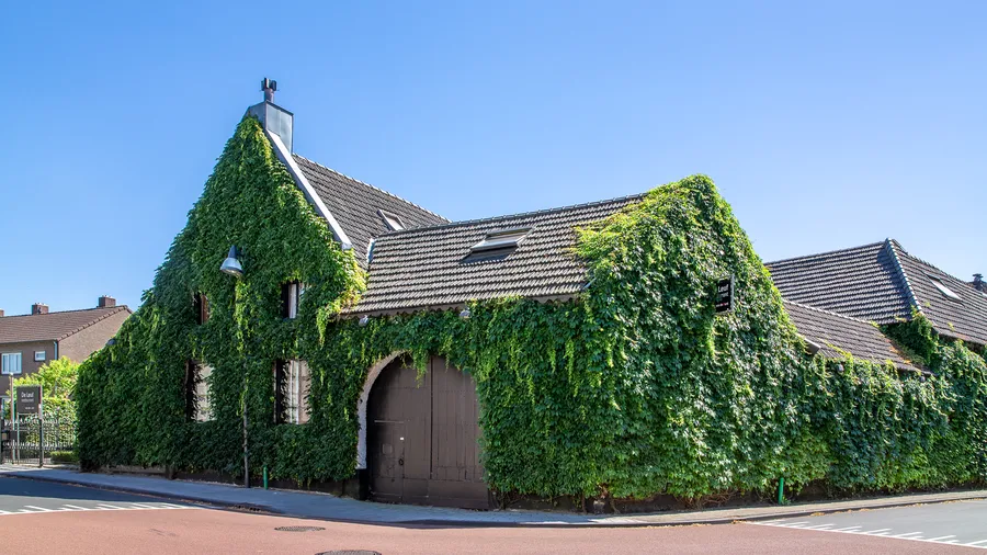 De Leuf
