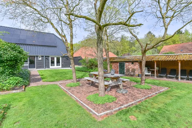 Tuin