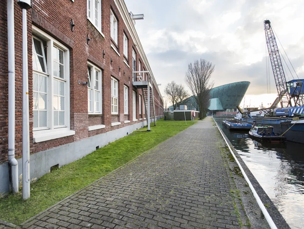Foto 3 van Scheepskameel