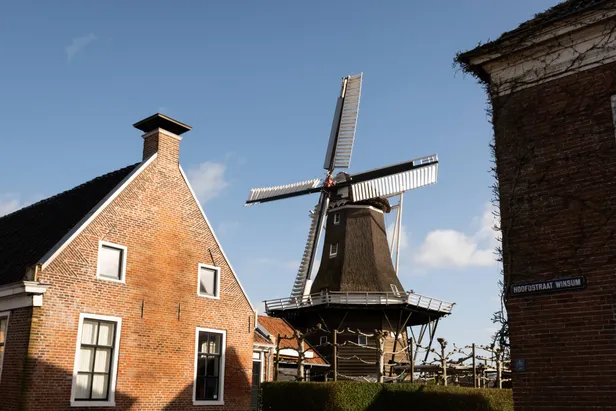Een van de molens van Winsum