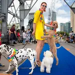 Op bezoek bij de Scheepshondenparade in Rotterdam