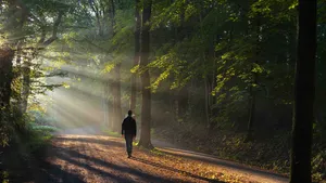 Wandelroutes Drenthe