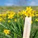 Het wordt warm dit weekend.