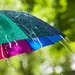 Regenachtig weer tijdens Pinskteren.