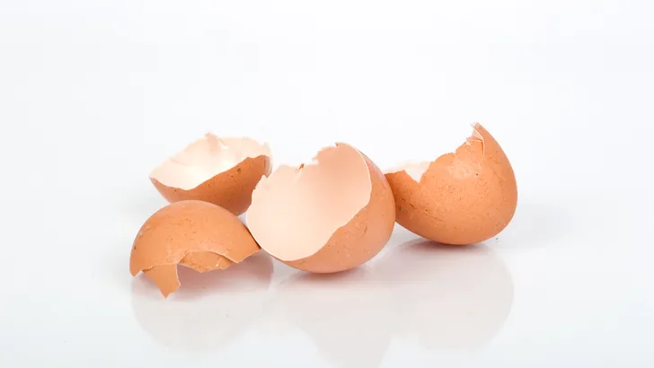 Waarom je eigenlijk ook de eierschalen zou moeten eten
