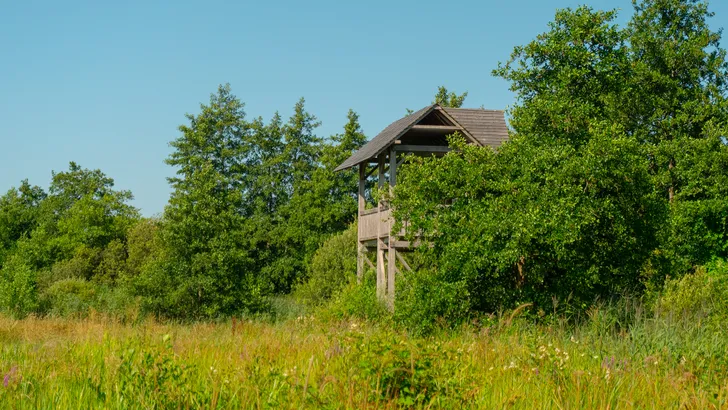 Lettelberterpetten
