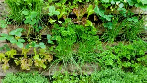 Verticale tuin