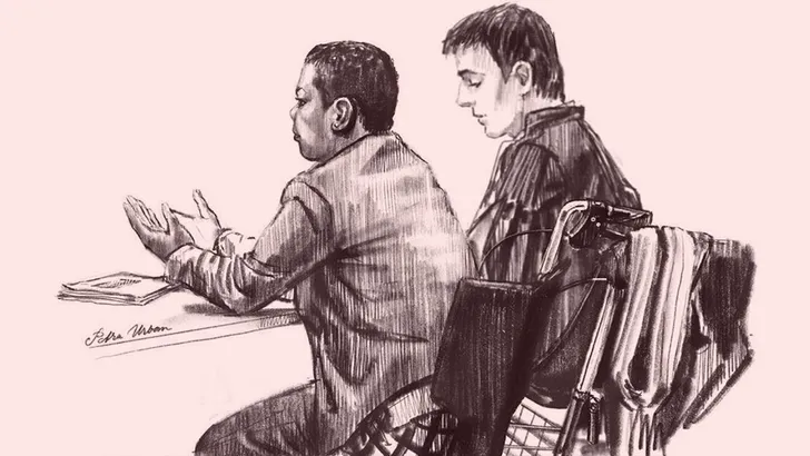 Bij de politierechter: 'Een spoedcursus schelden'